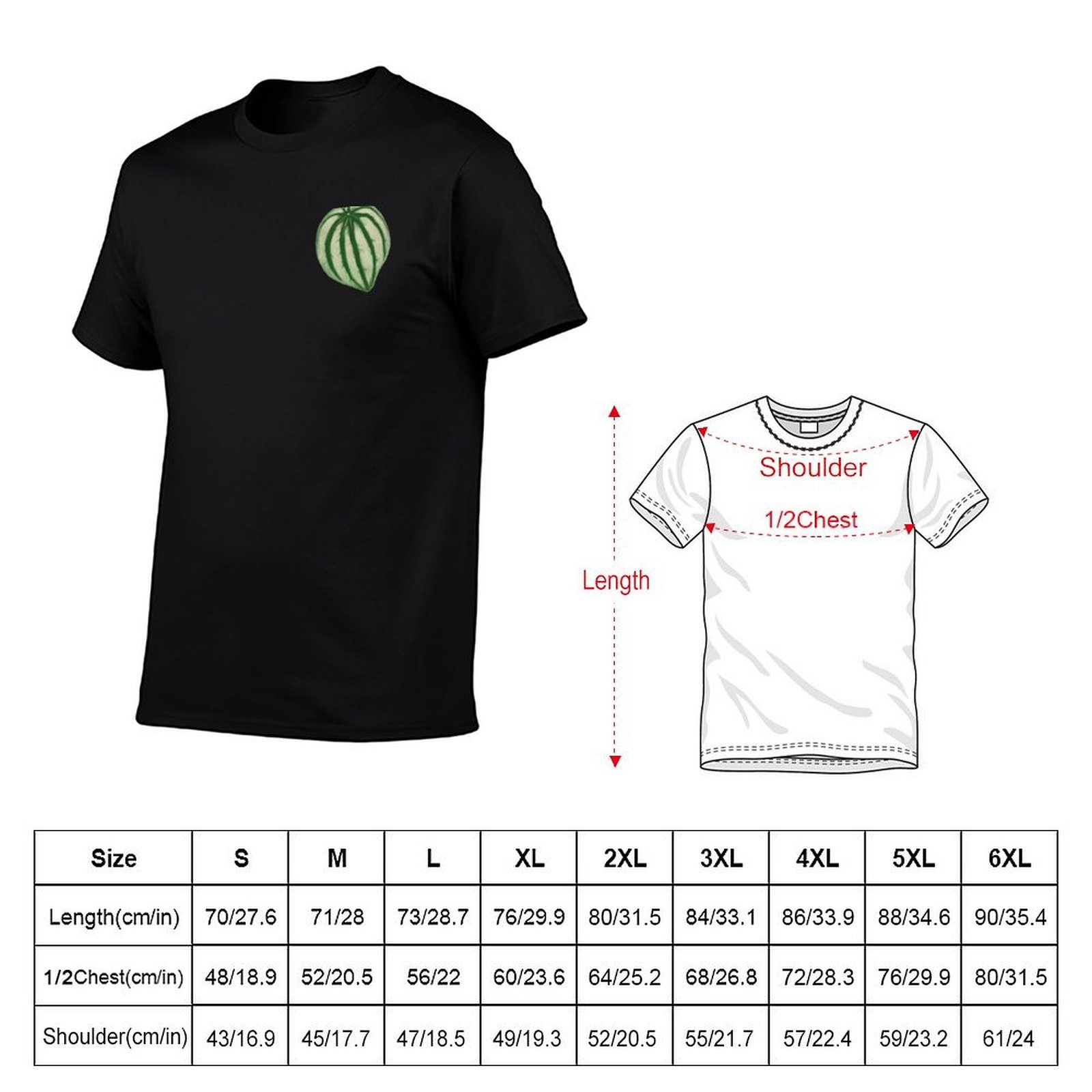 T-Shirt mit Wassermelonen-Pepe – Peperomia Watermelon Bewertung und Preis