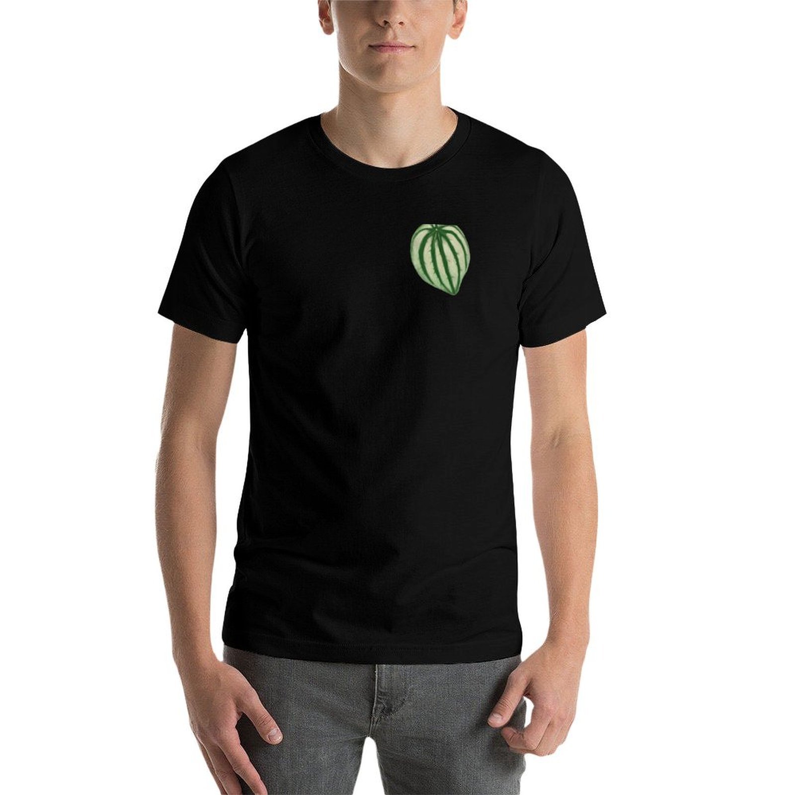 T-Shirt mit Wassermelonen-Pepe – Peperomia Watermelon Bewertung und Preis